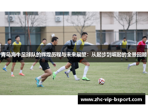 青岛海牛足球队的辉煌历程与未来展望:从起步到崛起的全景回顾 青岛海牛足球队的辉煌历程与未来展望:从起步到崛起的全景回顾