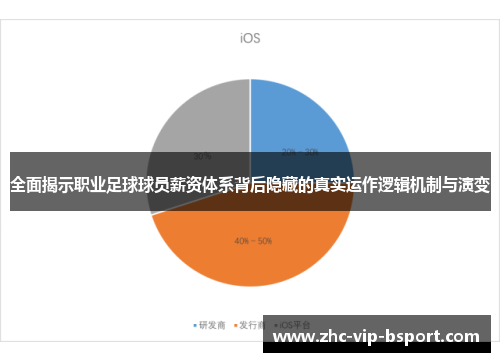 全面揭示职业足球球员薪资体系背后隐藏的真实运作逻辑机制与演变 全面揭示职业足球球员薪资体系背后隐藏的真实运作逻辑机制与演变