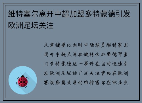 维特塞尔离开中超加盟多特蒙德引发欧洲足坛关注